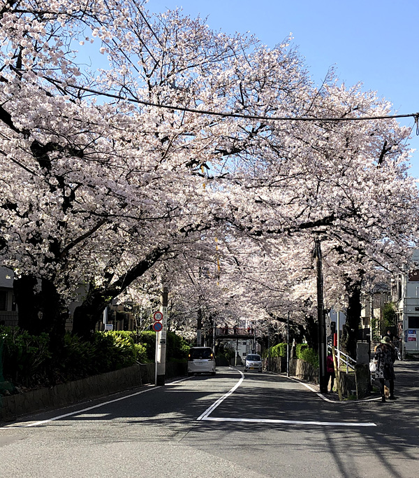炴