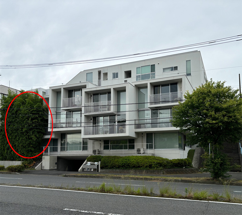 集合住宅 共生